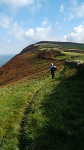great hangman combe martin