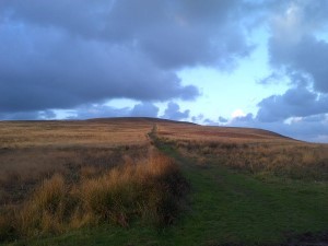 holdstone down 