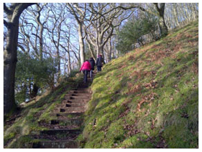 Love, Walk, Pray Camino Devon