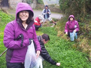 foraging cranleigh house