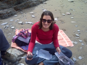 picnic