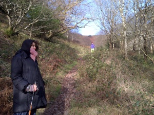 waters meet lynton